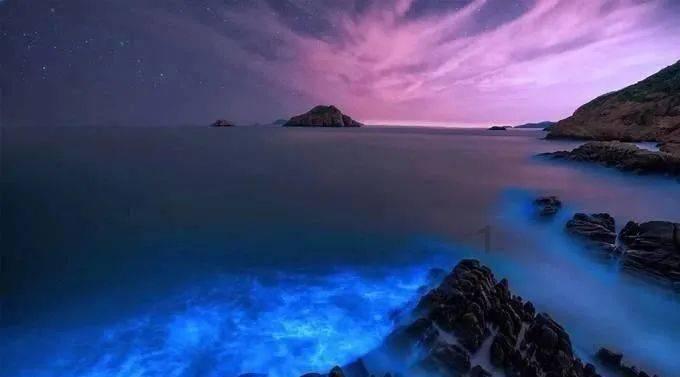 5天4板中视传媒(600088.SH):不存在应披露而未披露的重大事项