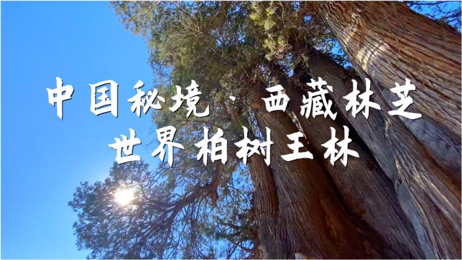 利雅得胜利对B罗祖母逝世致哀:向他及家人致以最深切的哀悼