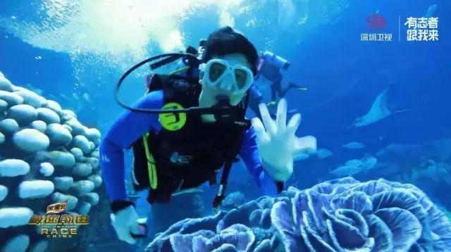 紫阳县医院抢救一宫外孕破裂失血性休克患者