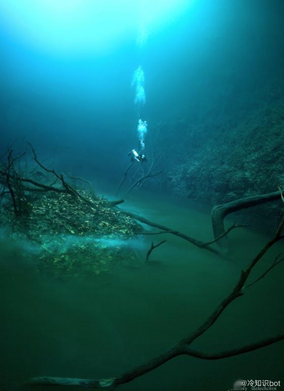 海绵宝宝寻珍宝