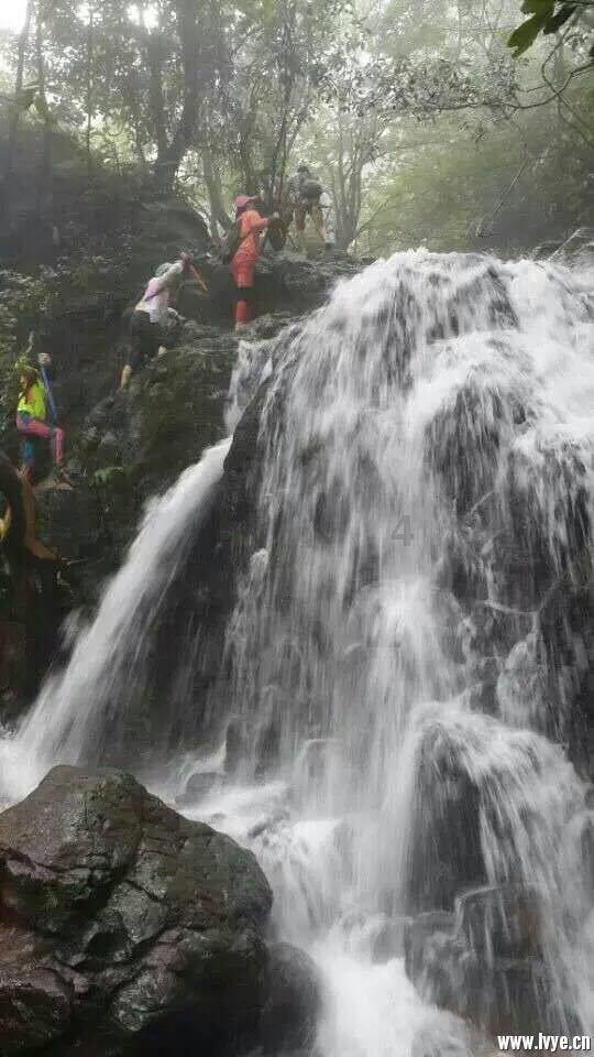 哥伦比亚山体滑坡已致40人死亡 搜救工作即将结束