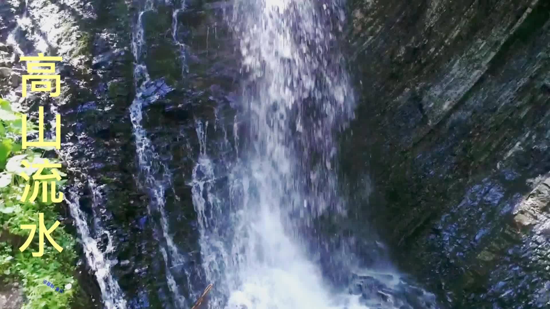 春雨直播app